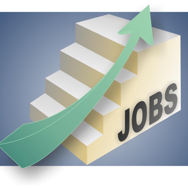 Government Jobs 📚💪