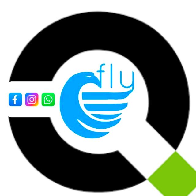 FLY JOBS CONSULTANCY 01