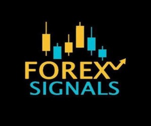 Forex Free Vip Signal