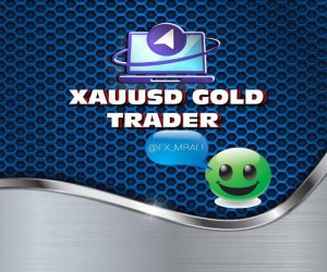 XAUUSD Gold Traders